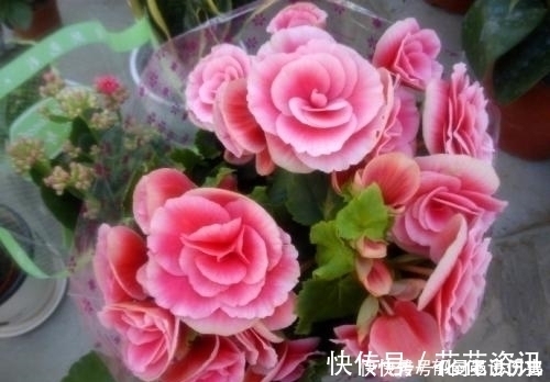 农历|谁家老婆出生在这三月,婚后引财无数,助益丈夫事业,福泽全家