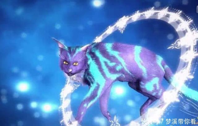 斗罗大陆有十一种颜色的魂环,一般人知道五种,最后六种太神秘!