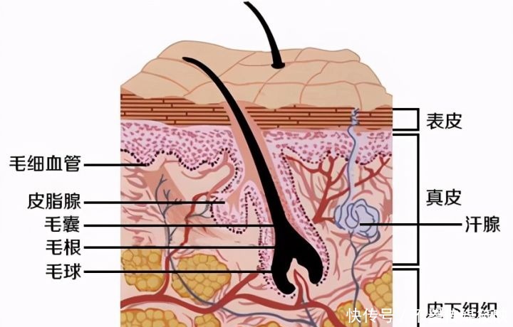 如何做到少花钱还养出好皮肤?学会2个要点:避坑省钱,真的实用