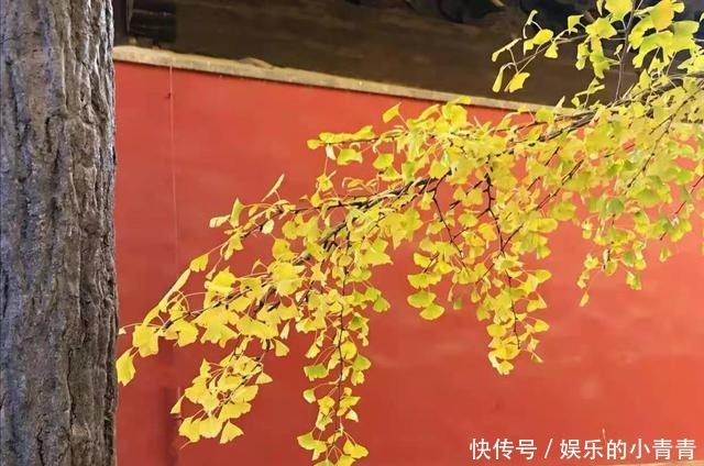 戏台|原创散文冬日所遇,尽可惊喜