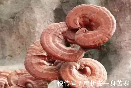 致癌|我们每天都在吃的东西,竟然是被国家列入第一致癌清单!