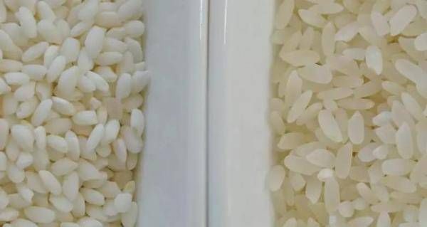 韩国|韩国,没有泡菜就无法生存,真的是个美食沙漠