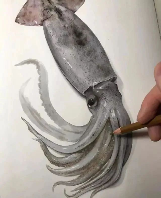 长相|他是一名日本画家,画出的动物十分逼真,而且本人的长相很像女生