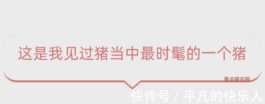 |今日段子:竟然还有人反向烤火?难道不怕烧到屁股吗?