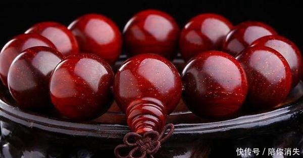 盆景|原来有钱人家都养这个花,镇宅,招财,这可是“帝王之木”!