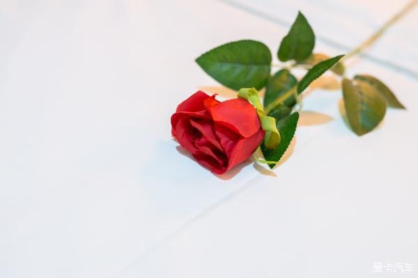 排到|兰州排队排到脚软的小吃店（史上最全兰州美食帖）