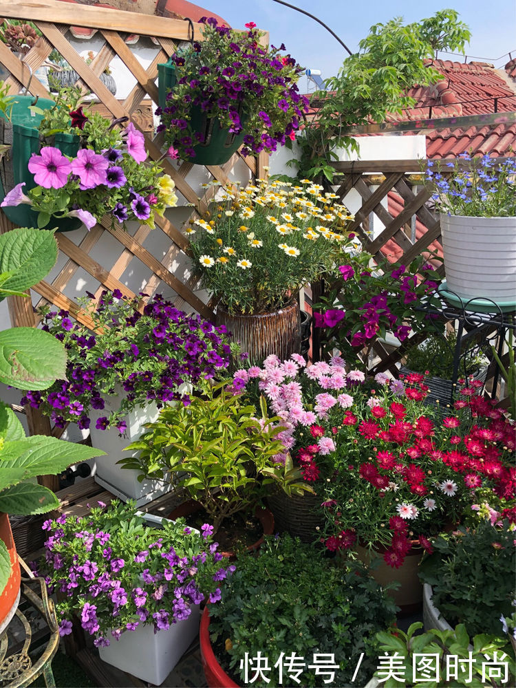 阳台|DIY改造17㎡屋顶花园，忙得不亦乐乎，在喧嚣城市打造一隅静谧