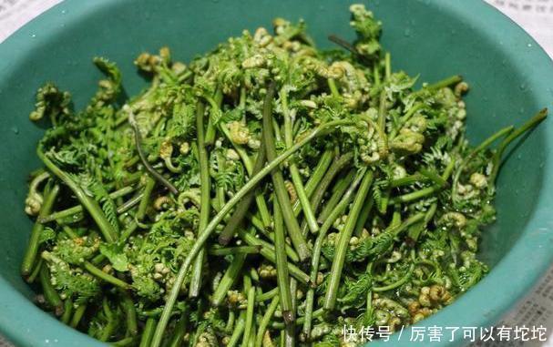 爆料|超市1種菜會“誘發(fā)”腦梗！超市員工爆料：我們從不買，有害健康