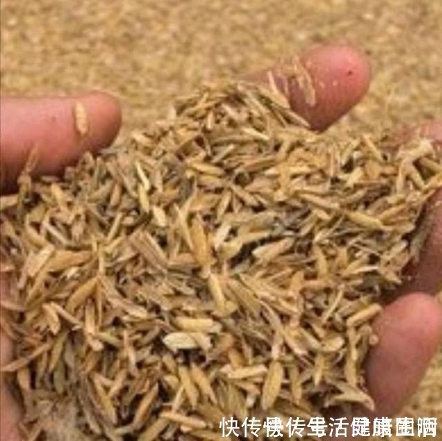 材料|养多肉,土壤中就得加点儿这种“材料”,长势才会喜人!