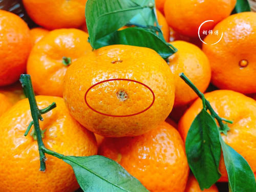 砂糖|吃橘子时,到底是“上火”还是“降火”?如果不懂,那就尴尬了