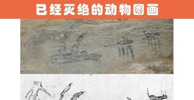 考古|人类在世界各地的岛屿上找到的8大神秘的考古发现