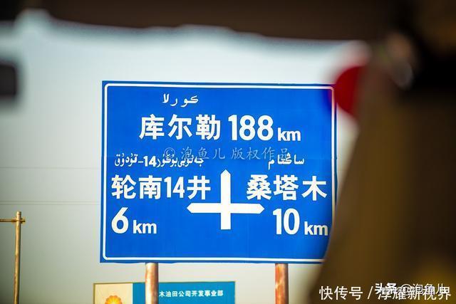 烟花|藏不住了!新疆发现全球最大沙漠胡杨林,比额济纳还美,游客很少