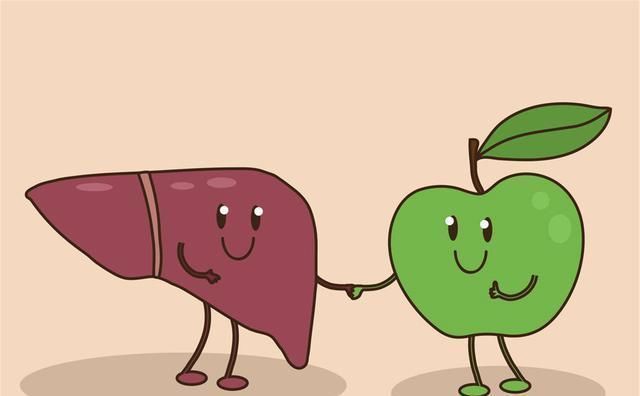 身体|肝脏变“硬”时,身体会怎么样?养肝切记:早起2要、睡前3不要