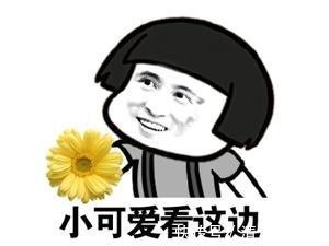 |笑话春节过后老婆问儿子,你是喜欢去奶奶家,还是去姥姥家