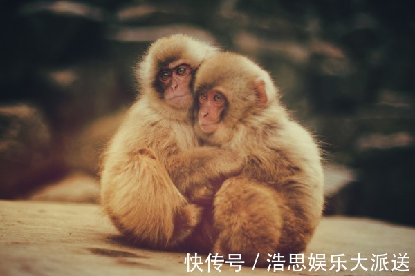煞曜|不出2天，属猴人会遇见下面1个人，是你命中最大的贵人！