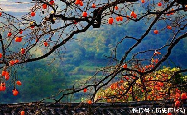 何意|俗语“门朝南子不寒,树通轩人丁散”,老祖宗的话是何意