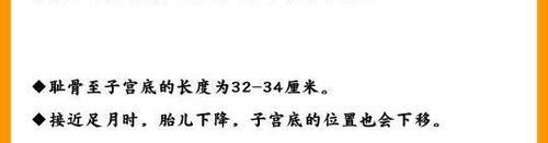 怀孕期间宝宝的成长变化以及注意事项