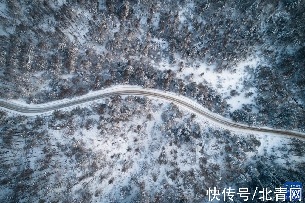 景色|陕西宁陕：雪后风光