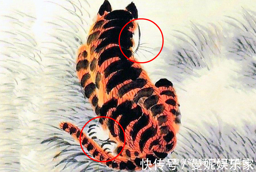 张善孖@齐白石把4只老虎画成病猫,为何还能卖3202万专家放大看尾巴