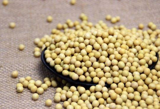 氧自由基|小米粥多放2种小物品,一生不得癌,就连三高也降低了