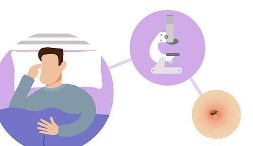 螨虫以什么为食不管是否想到,对健康的威胁,别视而不见