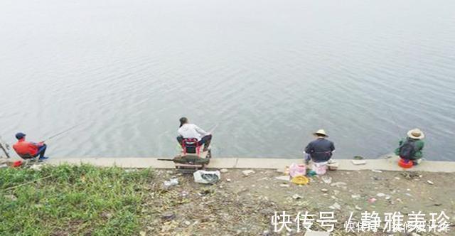 钓友|前脚放生鱼入水，后脚钓友下杆垂钓！垂钓者：我这是保护环境