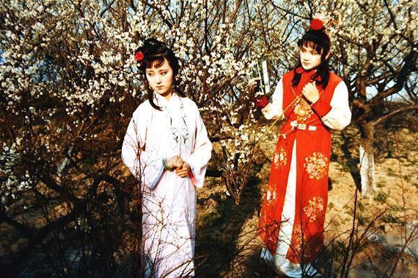 贾敏|宠女狂魔林如海:不续弦不立嗣,把黛玉当儿子养,巨额财产做嫁妆