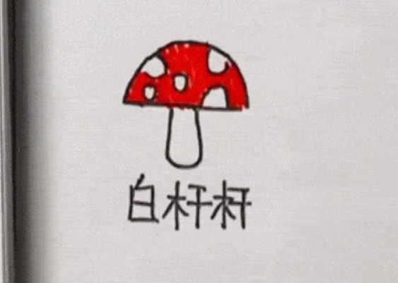 毒菌|红伞伞，白杆杆，路边的野蘑菇你可别馋馋