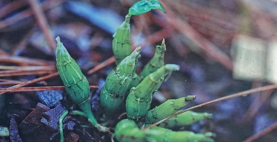 魅力|这里风景如画、草木成诗，“多彩”霍山向世人展现其迷人的魅力