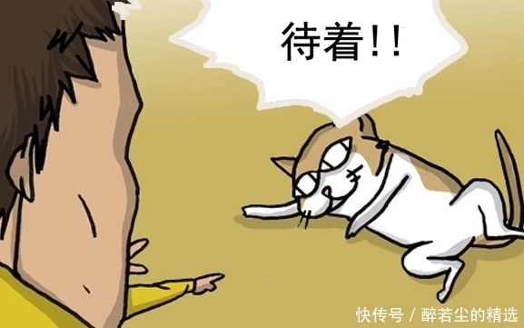 二狗子|搞笑漫画：主人被“蠢哭”，爱犬一天睡25小时！