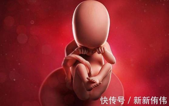 子宫|孕检B超四维时胎儿害羞不动,孕妈别着急,8个技巧让孩子活跃配合你