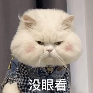 抑郁小哥把一只2毛钱的千纸鹤折成了我买不起的样子,不但病好了还年入百万