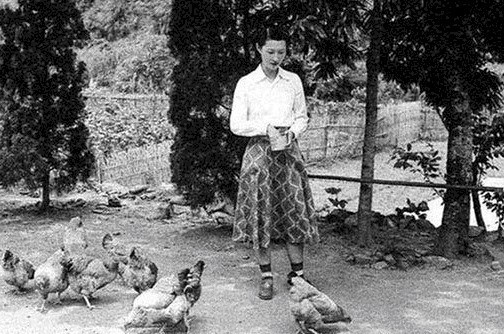 小姐|迷倒少帅张学良的“赵四小姐”到底有多美