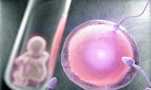 胎儿|小孩一周到四十周,怀孕的胎儿是怎么变化的?