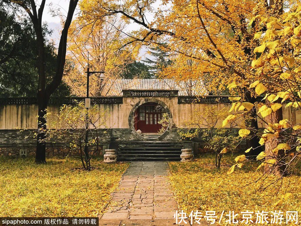 京西稻|秋游首站!北京“小镰仓”漫画电车站,车票仅3元!