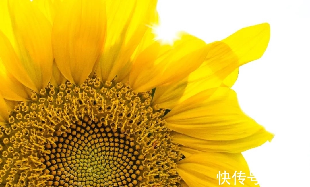 人类！所有人都能自行得出的哲学道理，只用四个词概括人间万象