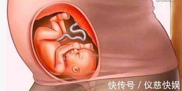剧烈运动|怀胎十月到底是什么样的,十张图带你看孕育过程,生而为人须了解
