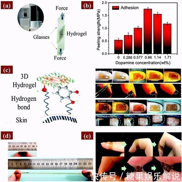 自愈|双网络水凝胶!超强自愈、保水、抗菌、粘附,专为透皮贴剂设计