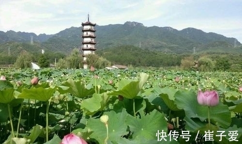 白居易|此时江南落霞与孤鹜齐飞，明春却让人未老莫还乡，还乡须断肠