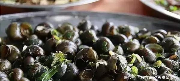 清远市8大推荐美食,这些地方美食值得你的品尝