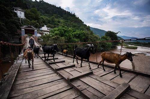  古道|茶马古道是古代时期的遗产物，如何评价茶马古道？