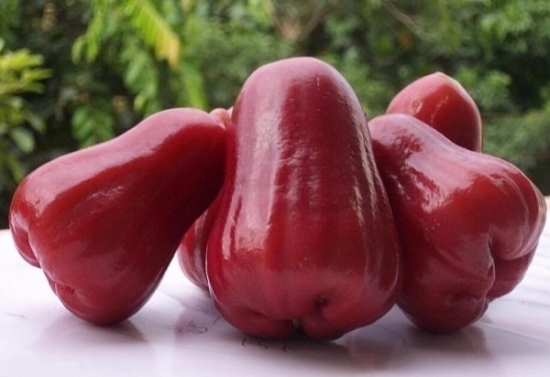 淡化|女性晚上当零食吃两个，防皱补水，淡化黑斑，宁心安神，早食早好