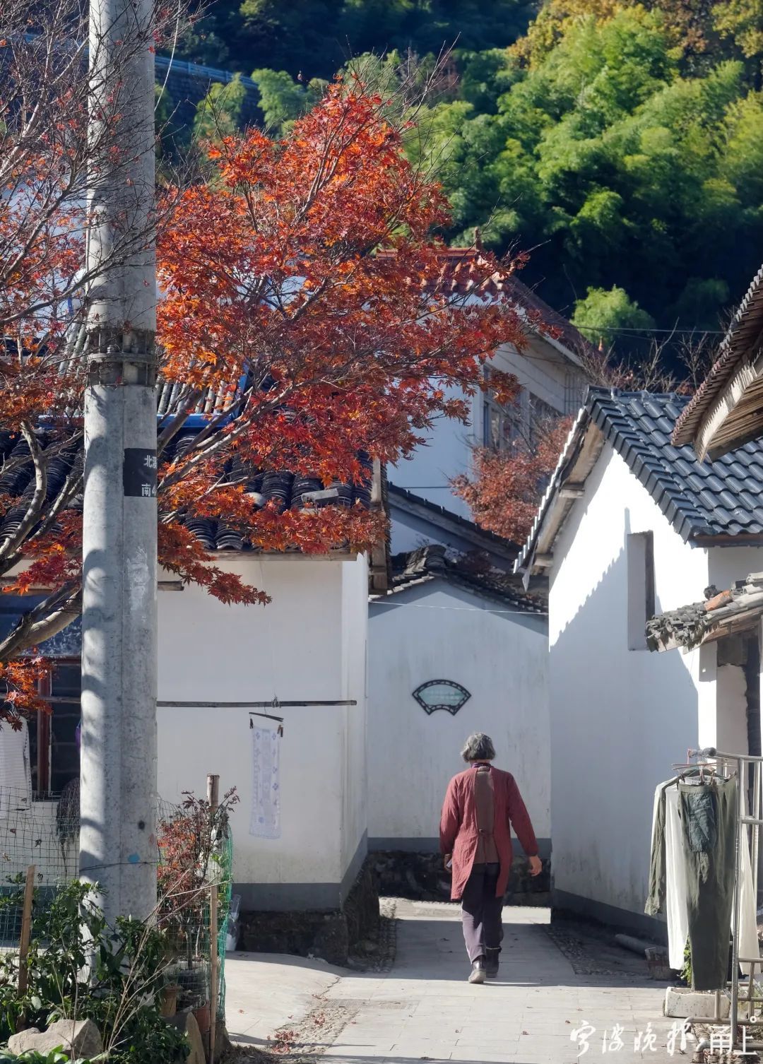 北溪|太绝了！宁波这个山村藏不住了！