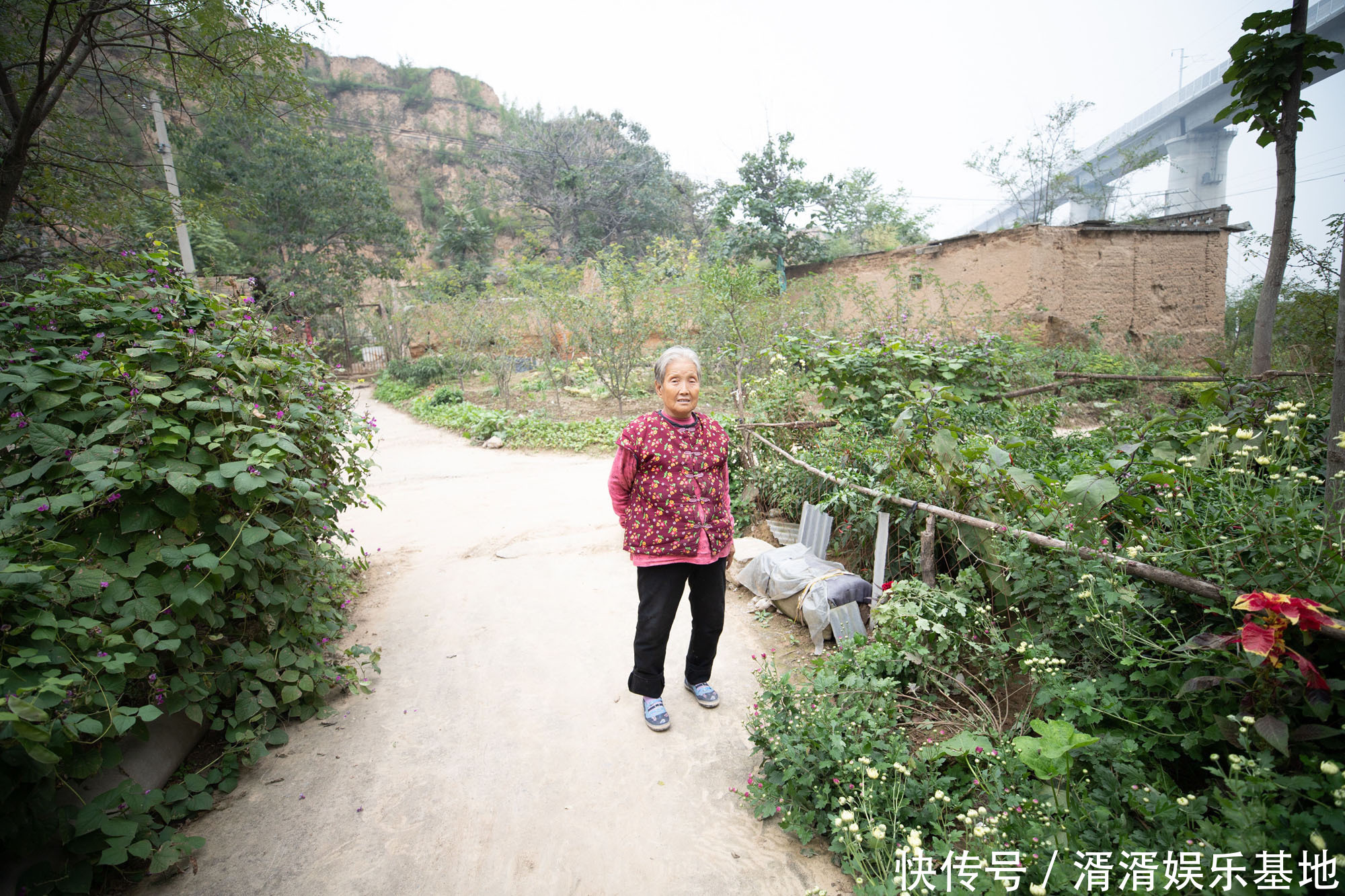 奇特植物落户7旬夫妇门口，颜色鲜艳像草又像花，谁知道它叫什么