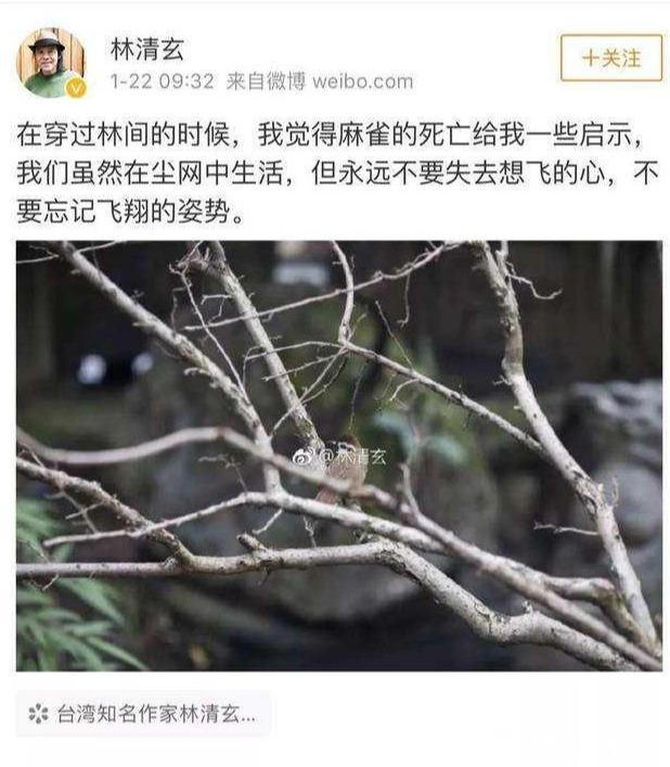 佛学$林清玄，号称“小资教主”，与刘墉其名！琼瑶他散文不过尔尔