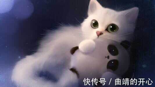 |幽默笑话:开学没几天口腔溃疡了 一开始忍了几天后来都没法吃饭