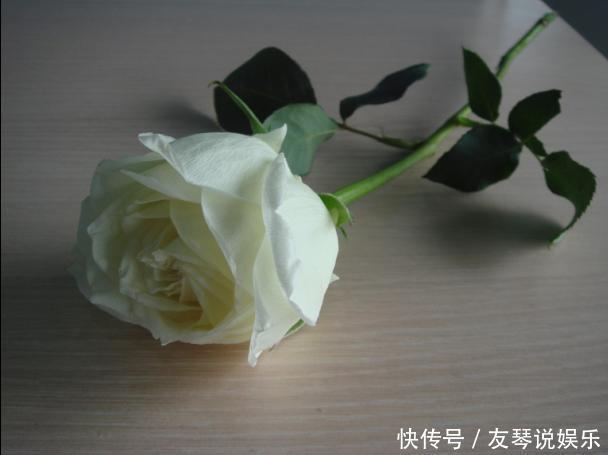 人生8不交,8不能,8不要,8不做,8不比,8不气,8不完