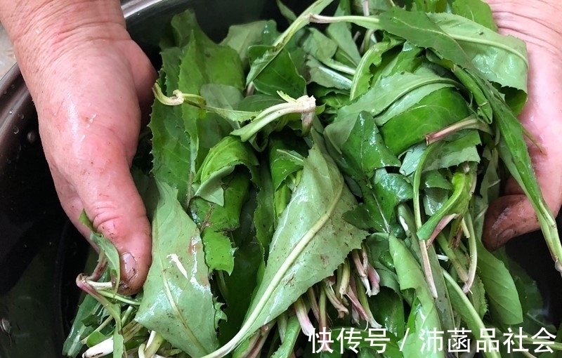 杀菌消炎|天然“青霉素”被找到，隔三岔五吃，杀菌消炎防感冒，别不懂吃