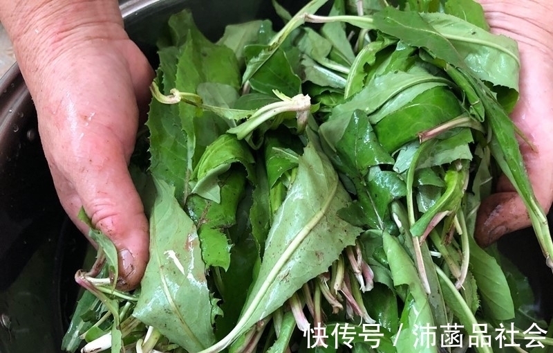 杀菌消炎|天然“青霉素”被找到,隔三岔五吃,杀菌消炎防感冒,别不懂吃