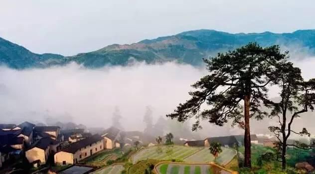 木香$回到家乡改造整个村子28座旧宅,他的设计惊艳了半个江南!